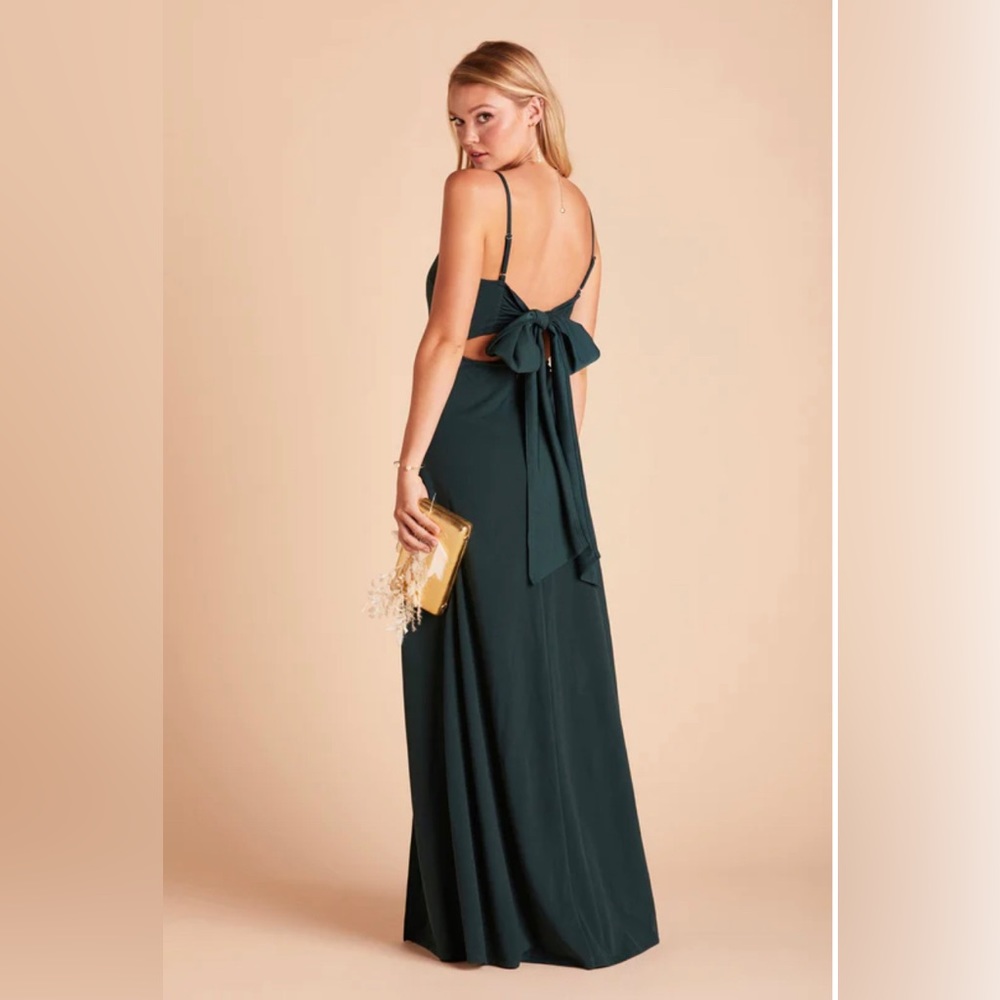 Benny Birdy Grey Dress
